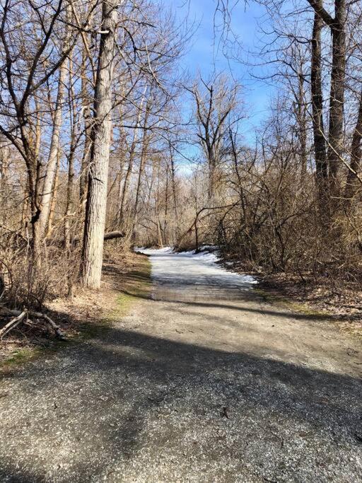 Walk To Downtown Leavenworth * Sleeps 6 + Pets * Ground Level Gem! Lejlighed Eksteriør billede
